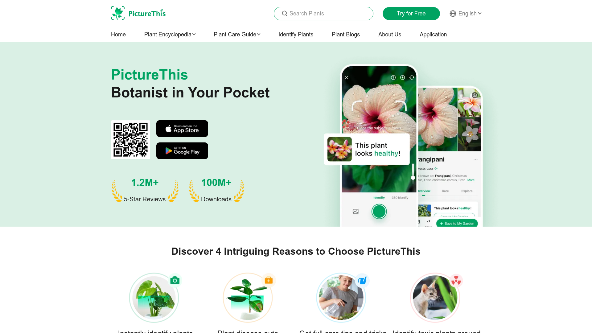 Logo PictureThis, ferramenta de IA para produtividade